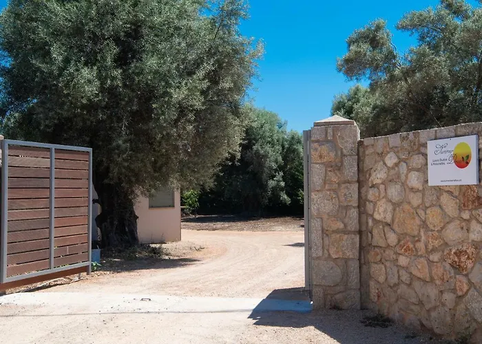 公寓式酒店 Summer Dream Lefkas